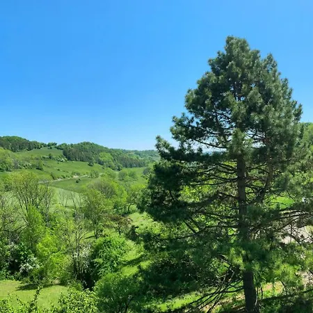 Appartement Stilvoll Eingerichtetes In Historischem Bauernhaus, Voll Ausgestattet Inmitten Der Auf 75 Qm