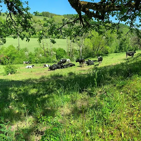 Stilvoll Eingerichtetes In Historischem Bauernhaus, Voll Ausgestattet Inmitten Der Auf 75 Qm Waldshut-Tiengen