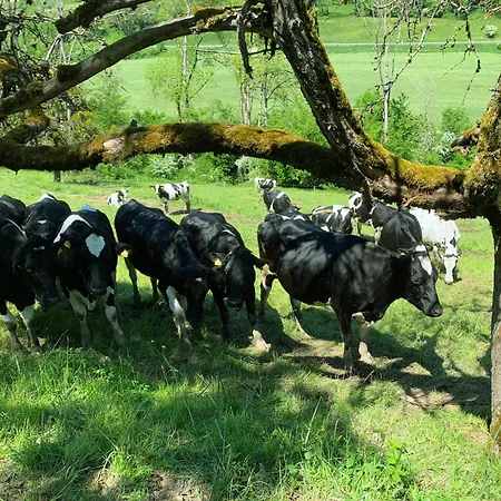 Apartmán Stilvoll Eingerichtetes In Historischem Bauernhaus, Voll Ausgestattet Inmitten Der Auf 75 Qm *