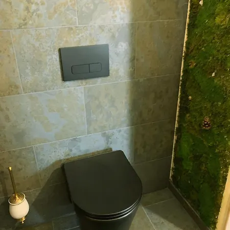 Stilvoll Eingerichtetes In Historischem Bauernhaus, Voll Ausgestattet Inmitten Der Auf 75 Qm * Waldshut-Tiengen