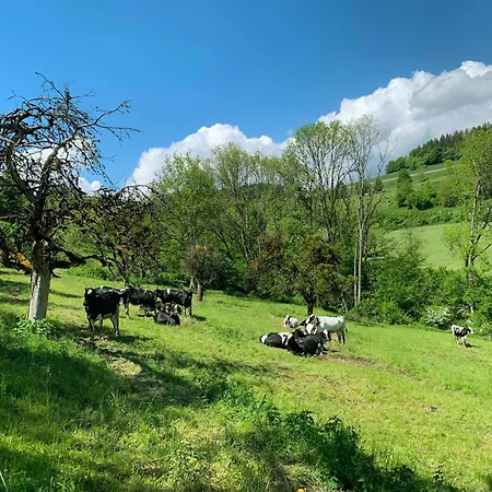 Stilvoll Eingerichtetes In Historischem Bauernhaus, Voll Ausgestattet Inmitten Der Auf 75 Qm ヴァルツフート＝ティンゲン