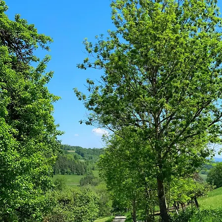 Stilvoll Eingerichtetes In Historischem Bauernhaus, Voll Ausgestattet Inmitten Der Auf 75 Qm * Waldshut-Tiengen