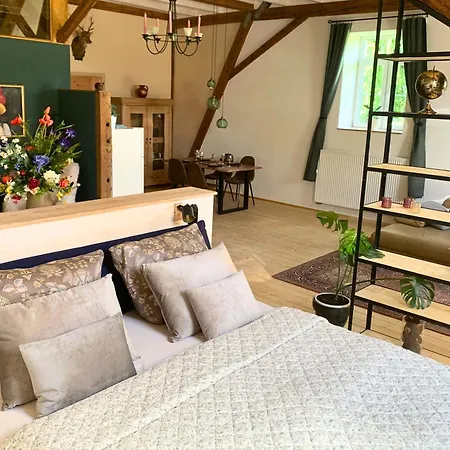 Stilvoll Eingerichtetes In Historischem Bauernhaus, Voll Ausgestattet Inmitten Der Auf 75 Qm Waldshut-Tiengen