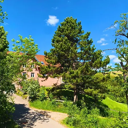 Stilvoll Eingerichtetes In Historischem Bauernhaus, Voll Ausgestattet Inmitten Der Auf 75 Qm Apartment *