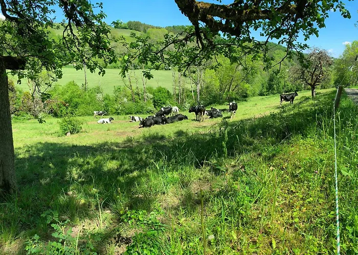 Stilvoll Eingerichtetes In Historischem Bauernhaus, Voll Ausgestattet Inmitten Der Auf 75 Qm Вальдсхут-Тинген