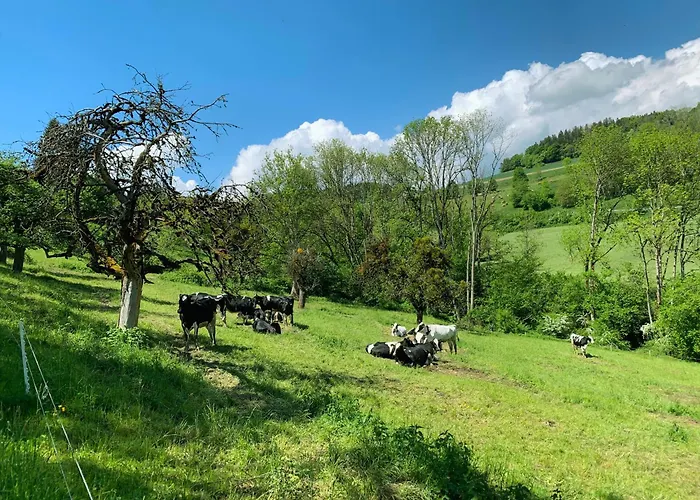 Stilvoll Eingerichtetes In Historischem Bauernhaus, Voll Ausgestattet Inmitten Der Auf 75 Qm Вальдсхут-Тинген