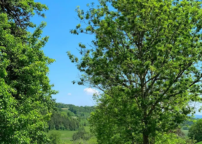 Stilvoll Eingerichtetes In Historischem Bauernhaus, Voll Ausgestattet Inmitten Der Auf 75 Qm * Вальдсхут-Тинген