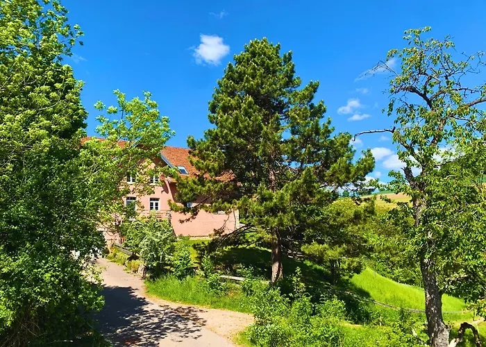 Stilvoll Eingerichtetes In Historischem Bauernhaus, Voll Ausgestattet Inmitten Der Auf 75 Qm Апартаменты *